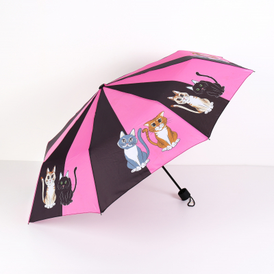 Deštník - Kočka