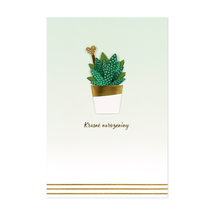 Luxusní přání - Kaktus