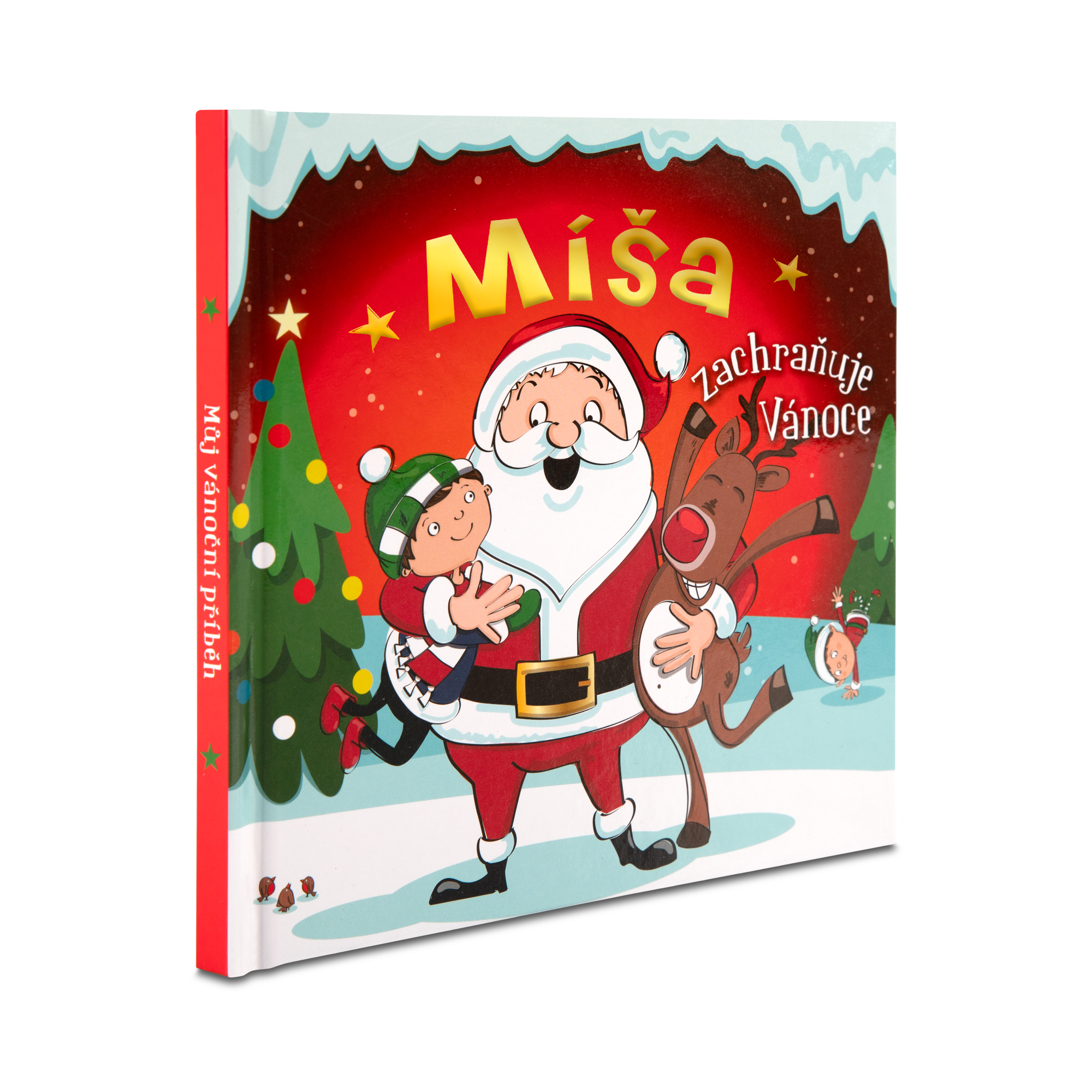 Personifikovaná vánoční knížka pro Míšu (kluk)